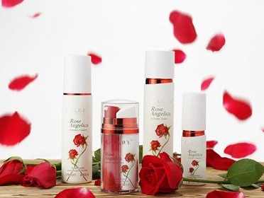 2024年中国化妆品加盟店品牌排行榜深度解析 机遇与选择